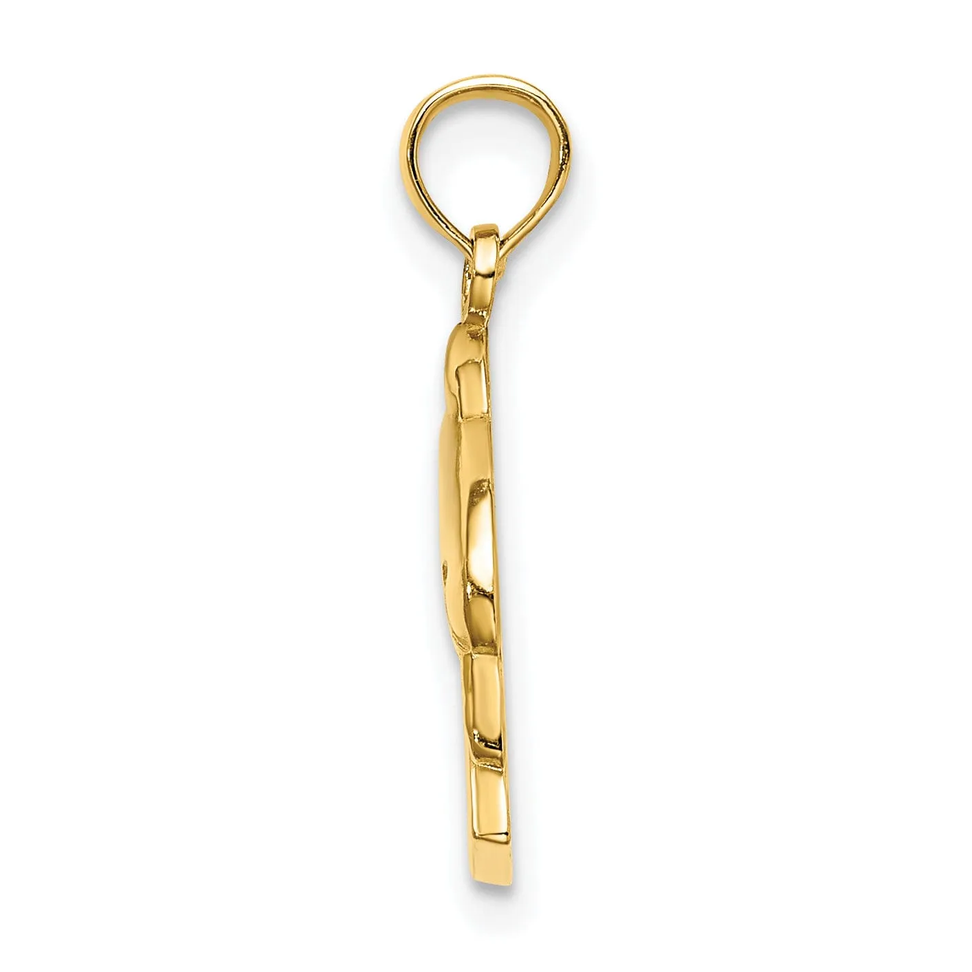 14K Yellow Gold Polished Finish Flat Back 2-Dimensional CURACAO With Dolphin Charm Pendant