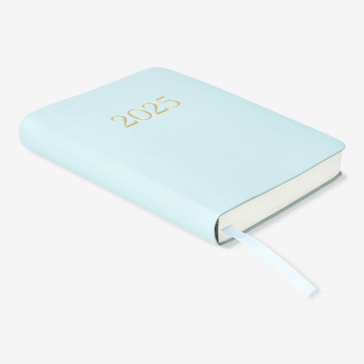 Blue Daily Diary A6 - Spanish
