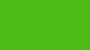 Chart Paper Dark Green