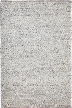 Dianna Light Grey Rug 300 x 400cm