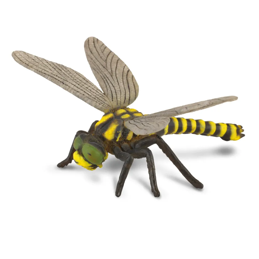 Insect Figurines - Collecta