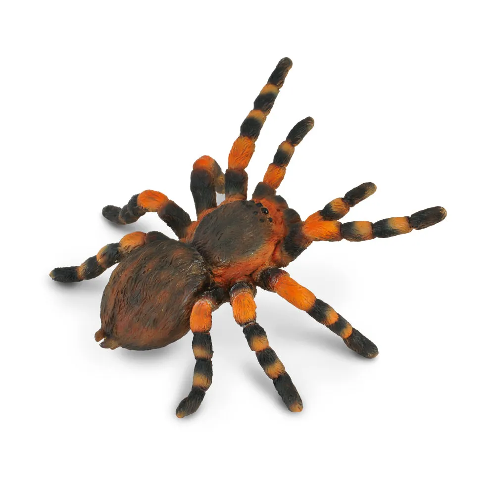 Insect Figurines - Collecta