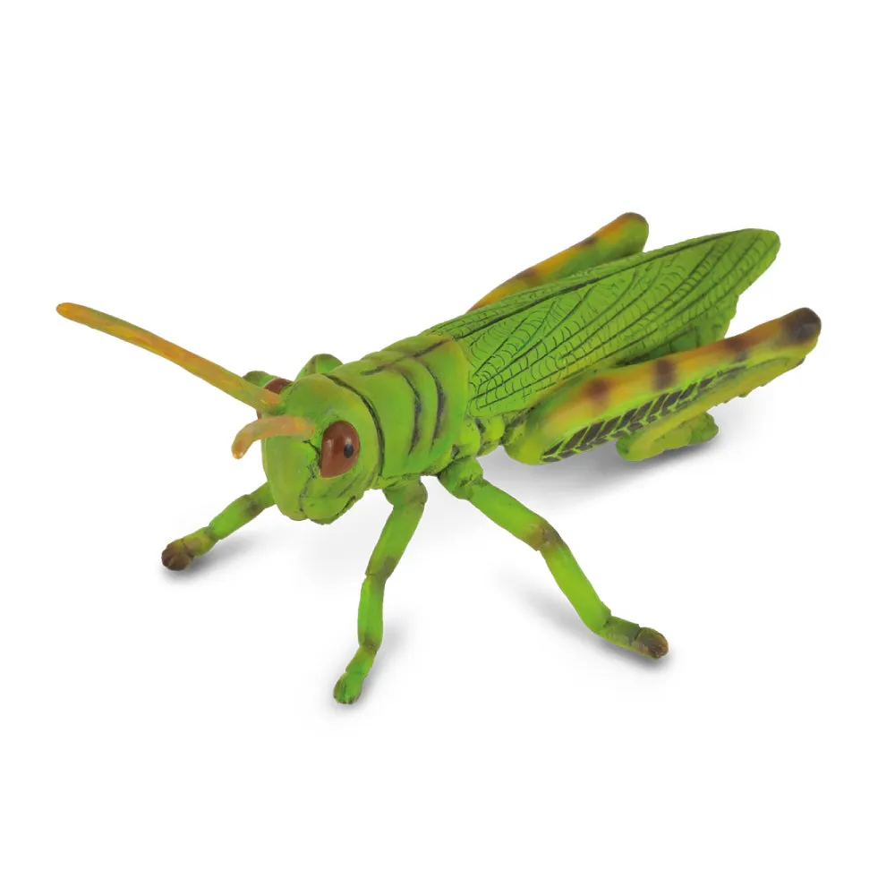 Insect Figurines - Collecta