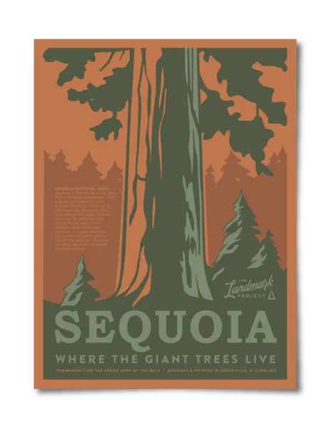 Sequoia National Park - 12x16 Poster