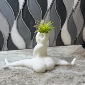 The Yoga Pose Planter