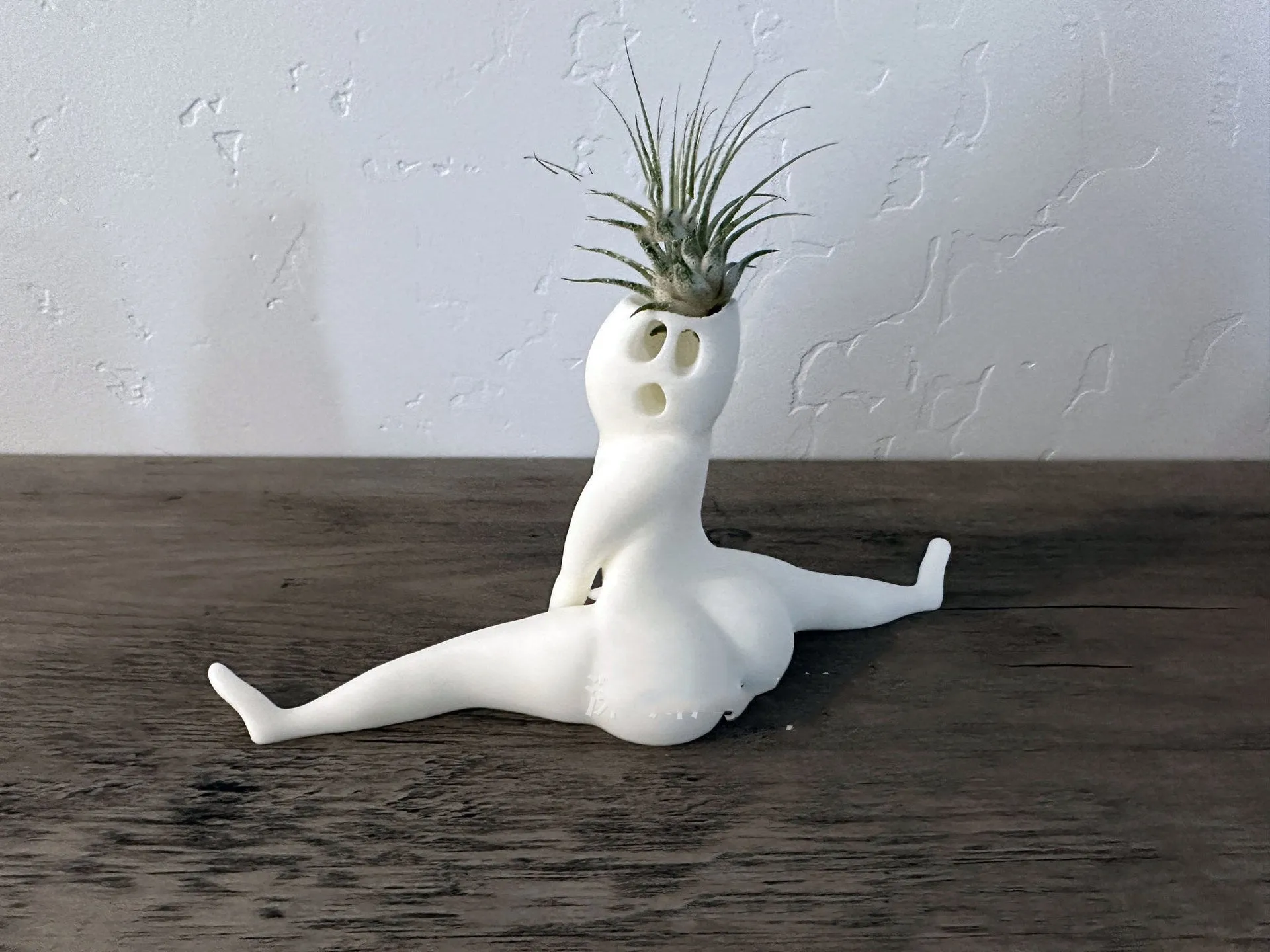 The Yoga Pose Planter